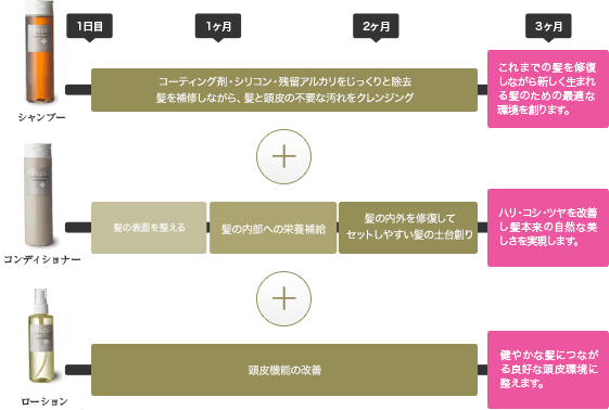 いつものようにヘアケアするだけ!“明日の素髪のためのヘアケアプログラム”でできる、短期間の集中ホームケア