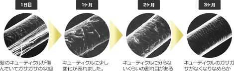 実際にプログラムを実行された方の髪の変化(Nさん34歳)