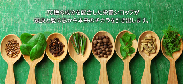 70種の成分を配合した栄養シロップが頭皮と髪の芯から本来のチカラを引き出します。